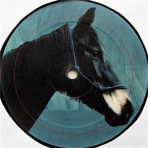 Картинка  Виниловые пластинки  Madrid De Los Austrias – Amor / SR007/1 в  Vinyl Play магазин LP и CD   07527 2 