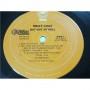 Картинка  Виниловые пластинки  Meat Loaf – Bat Out Of Hell / PE 34974 в  Vinyl Play магазин LP и CD   01724 3 