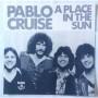 Картинка  Виниловые пластинки  Pablo Cruise – A Place In The Sun / AMP-6013 в  Vinyl Play магазин LP и CD   04783 2 