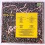 Картинка  Виниловые пластинки  Paul Young With The >>Q-Tips<< – Live / 66.359 в  Vinyl Play магазин LP и CD   06542 1 