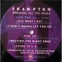Картинка  Виниловые пластинки  Peter Frampton – Breaking All The Rules / SP-3722 в  Vinyl Play магазин LP и CD   04352 4 