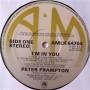 Картинка  Виниловые пластинки  Peter Frampton – I'm In You / AMLK 64704 в  Vinyl Play магазин LP и CD   05005 6 