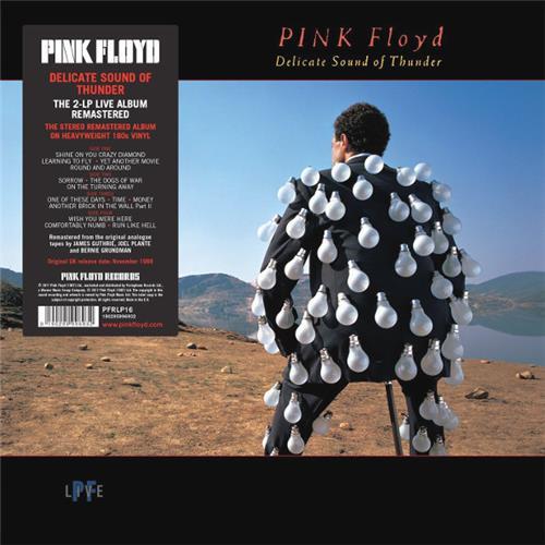  Виниловые пластинки  Pink Floyd – Delicate Sound Of Thunder / PFRLP16 / Sealed в Vinyl Play магазин LP и CD  06460 
