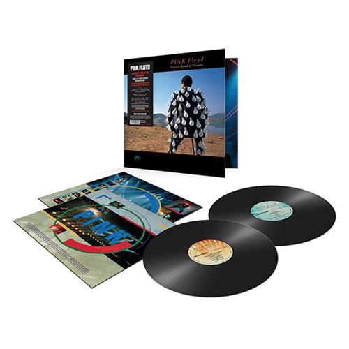 Картинка  Виниловые пластинки  Pink Floyd – Delicate Sound Of Thunder / PFRLP16 / Sealed в  Vinyl Play магазин LP и CD   06460 1 