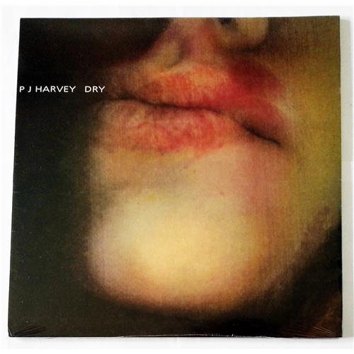  Vinyl records  PJ Harvey – Dry / PURE 10 LP / Sealed in Vinyl Play магазин LP и CD  09216 