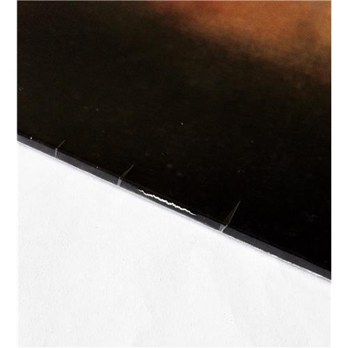Картинка  Виниловые пластинки  PJ Harvey – Dry / PURE 10 LP / Sealed в  Vinyl Play магазин LP и CD   09216 3 