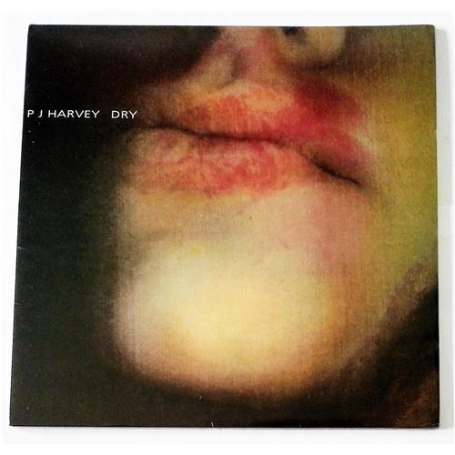  Vinyl records  PJ Harvey – Dry / PURE 10 LP / Sealed in Vinyl Play магазин LP и CD  09217 