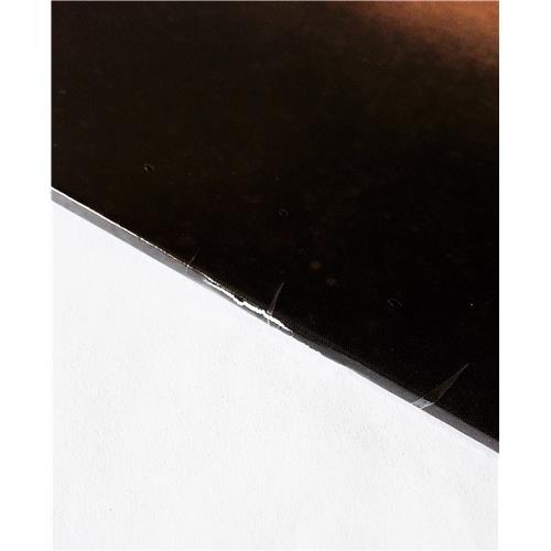 Картинка  Виниловые пластинки  PJ Harvey – Dry / PURE 10 LP / Sealed в  Vinyl Play магазин LP и CD   09217 2 