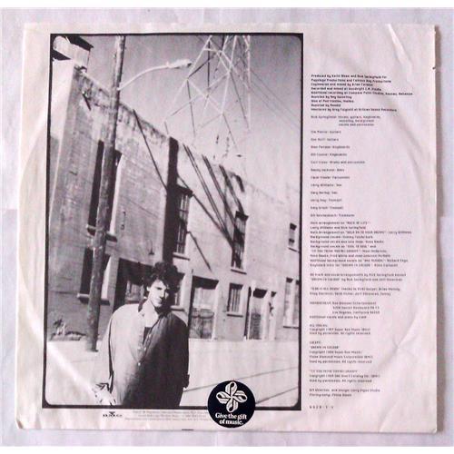 Картинка  Виниловые пластинки  Rick Springfield – Rock Of Life / 6620-1-R в  Vinyl Play магазин LP и CD   06012 2 