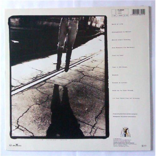 Картинка  Виниловые пластинки  Rick Springfield – Rock Of Life / PL86620 в  Vinyl Play магазин LP и CD   04370 1 