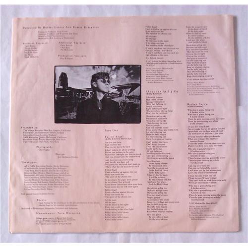  Vinyl records  Robbie Robertson – Robbie Robertson / 924 160-1 picture in  Vinyl Play магазин LP и CD  06502  2 