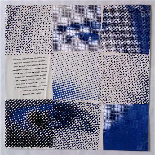 Картинка  Виниловые пластинки  Rod Stewart – Camouflage / P-11478 в  Vinyl Play магазин LP и CD   04670 2 