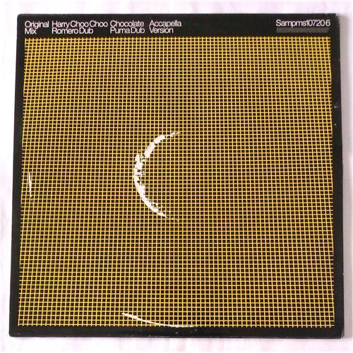  Vinyl records  Roger Sanchez Feat. Armand Van Helden And N'Dea Davenport – You Can't Change Me / Sampms107206 picture in  Vinyl Play магазин LP и CD  06492  1 