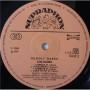 Картинка  Виниловые пластинки  Rudolf Dasek – Dialogy / 1115 2533 в  Vinyl Play магазин LP и CD   03791 3 