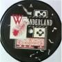Картинка  Виниловые пластинки  Siouxsie & The Banshees – Wheels On Fire / SHEX 11 в  Vinyl Play магазин LP и CD   05585 2 