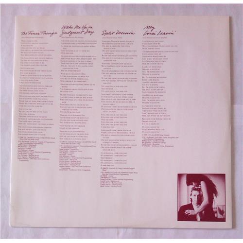 Картинка  Виниловые пластинки  Steve Winwood – Back In The High Life / ILPS 9844 в  Vinyl Play магазин LP и CD   06685 3 