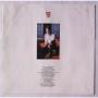 Картинка  Виниловые пластинки  Steve Winwood – Roll With It / 209 165-630 в  Vinyl Play магазин LP и CD   05927 3 