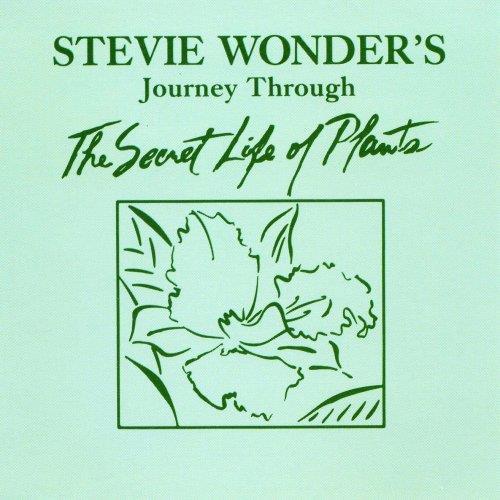  Виниловые пластинки  Stevie Wonder – Journey Through The Secret Life Of Plants / VIP-9563-4 в Vinyl Play магазин LP и CD  00613 