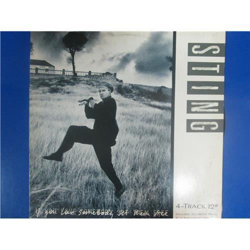  Vinyl records  Sting – If You Love Somebody Set Them Free / AMP18052 in Vinyl Play магазин LP и CD  03488 