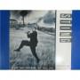  Vinyl records  Sting – If You Love Somebody Set Them Free / AMP18052 in Vinyl Play магазин LP и CD  03488 