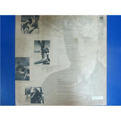  Vinyl records  Sting – If You Love Somebody Set Them Free / AMP18052 picture in  Vinyl Play магазин LP и CD  03488  1 