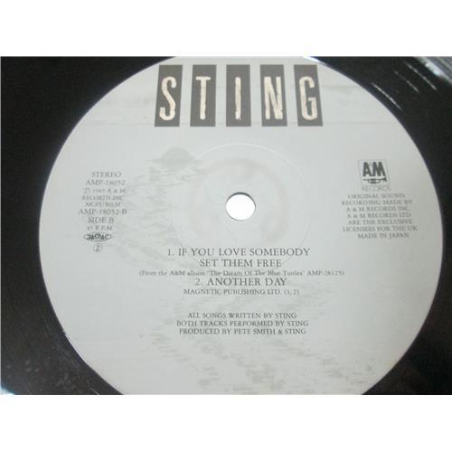  Vinyl records  Sting – If You Love Somebody Set Them Free / AMP18052 picture in  Vinyl Play магазин LP и CD  03488  3 