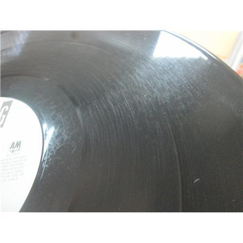  Vinyl records  Sting – If You Love Somebody Set Them Free / AMP18052 picture in  Vinyl Play магазин LP и CD  03488  4 