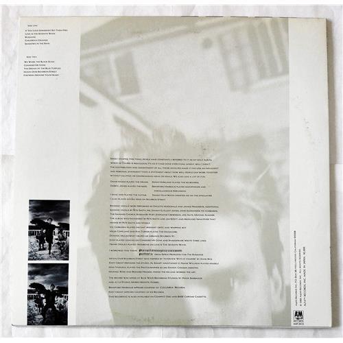 Картинка  Виниловые пластинки  Sting – The Dream Of The Blue Turtles / AMP-28125 в  Vinyl Play магазин LP и CD   07581 1 