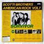  Виниловые пластинки  Survivor, John Cafferty And The Beaver Brown Band – American Rock Vol. 1 / B-1090 в Vinyl Play магазин LP и CD  07500 