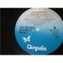  Vinyl records  The Michael Schenker Group – Rock Will Never Die / WWS-70188 picture in  Vinyl Play магазин LP и CD  00244  3 