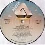 Картинка  Виниловые пластинки  The Monkees – Golden Story / 175R-129~130 в  Vinyl Play магазин LP и CD   07402 8 