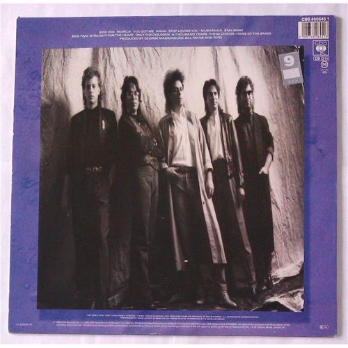 Картинка  Виниловые пластинки  Toto – The Seventh One / CBS 460645 1 в  Vinyl Play магазин LP и CD   04901 1 