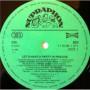 Картинка  Виниловые пластинки  Wanda Jackson & Karel Zich – Let's Have A Party In Prague / 11 0199-1311 в  Vinyl Play магазин LP и CD   03704 2 