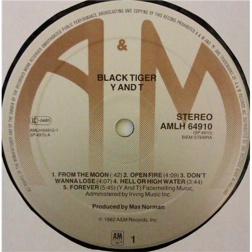  Vinyl records  Y & T – Black Tiger / AMLH 64910 picture in  Vinyl Play магазин LP и CD  04429  2 