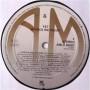 Картинка  Виниловые пластинки  Y & T – In Rock We Trust / AMLX 65007 в  Vinyl Play магазин LP и CD   04745 5 