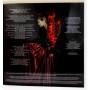 Картинка  Виниловые пластинки  Chaostar – The Undivided Light / LTD / SOM 437LP в  Vinyl Play магазин LP и CD   09993 3 