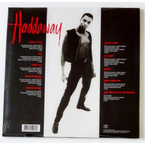 Картинка  Виниловые пластинки  Haddaway – What Is Love? The Singles of the 90s / LTD / CAPSULE3 / Sealed в  Vinyl Play магазин LP и CD   10013 1 