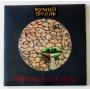  Vinyl records  Mumiy Troll – Pirated Copies / MIR100477 / Sealed in Vinyl Play магазин LP и CD  10336 