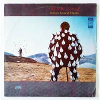 Pink Floyd – Delicate Sound Of Thunder / A60 00543 007