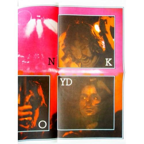 Картинка  Виниловые пластинки  Pink Floyd – The Dark Side Of The Moon / 1 J 066-05.249 в  Vinyl Play магазин LP и CD   10334 5 