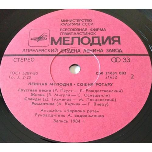 Картинка  Виниловые пластинки  София Ротару – Нежная Мелодия / С60 21631 002 в  Vinyl Play магазин LP и CD   11053 3 