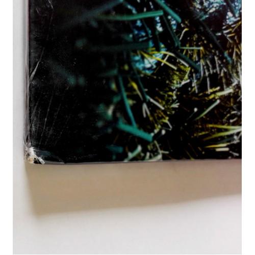 Картинка  Виниловые пластинки  Sonata Arctica – Ecliptica - Revisited (15th Anniversary Edition) / NB 3394-1 / Sealed в  Vinyl Play магазин LP и CD   10189 2 