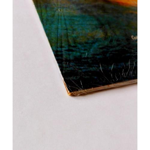 Картинка  Виниловые пластинки  Steve Hackett – Cured / FE 37632 / Sealed в  Vinyl Play магазин LP и CD   10169 1 