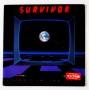  Виниловые пластинки  Survivor – Caught In The Game / C25Y0055 в Vinyl Play магазин LP и CD  10469 