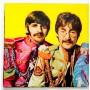Картинка  Виниловые пластинки  The Beatles – Sgt. Pepper's Lonely Hearts Club Band / EAS 80558 в  Vinyl Play магазин LP и CD   10423 4 