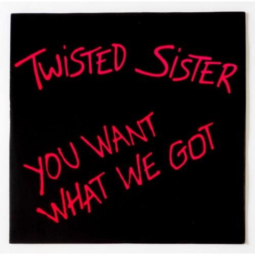  Виниловые пластинки  Twisted Sister – You Want What We Got / A 9435 T в Vinyl Play магазин LP и CD  10458 