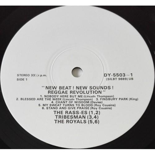 Картинка  Виниловые пластинки  Various – New Beat! New Sounds! Reggae Revolution / DY-5503-1 в  Vinyl Play магазин LP и CD   10085 2 